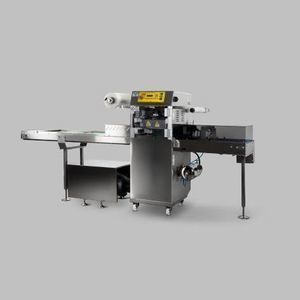 linearer Schalensiegler 1