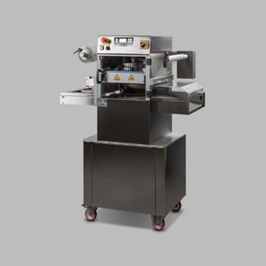 linearer Schalensiegler 1