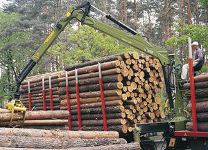 Gelenkausleger-Holzladekran 1