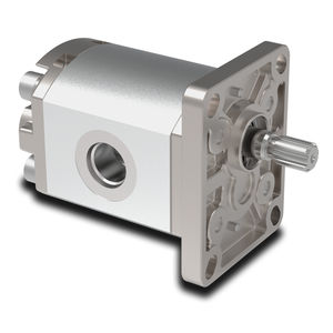 Zahnradhydraulikmotor