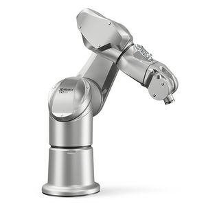 6-Achs-Roboter