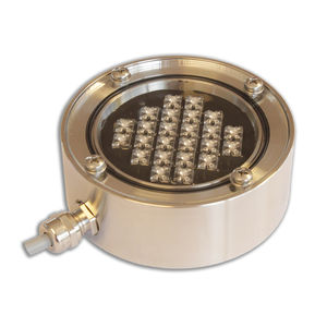 LED-Leuchtmelder / IP65 / stoßfest / ATEX