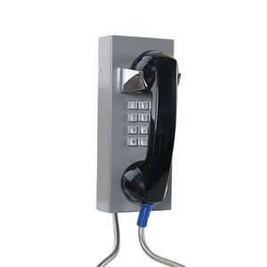 analoges Telefon 1