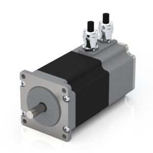 Zweiphasen-Servomotor
