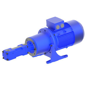 Schraubenspindelpumpe 1
