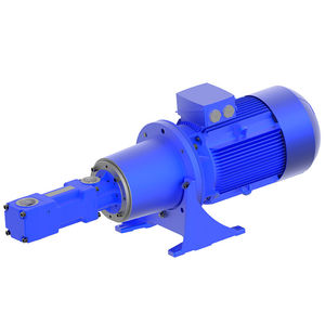 Schraubenspindelpumpe 1