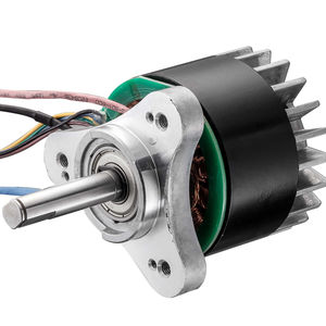 bürstenloser Motor 1