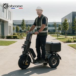 Transporter mit 3 Rädern