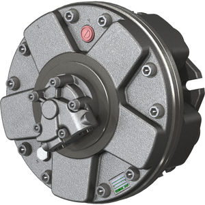Radialkolben-Hydraulikmotor 1