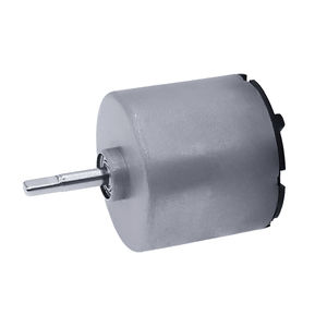 bürstenloser Motor 1