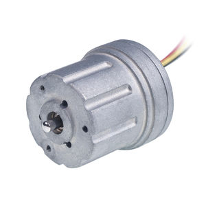 bürstenloser Motor 1