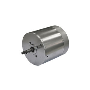 bürstenloser Motor 1