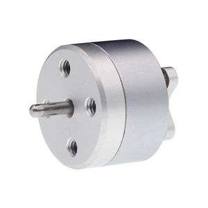 bürstenloser Motor 1
