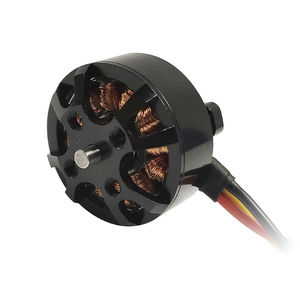 bürstenloser Motor 1