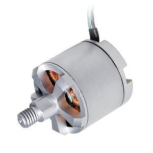 bürstenloser Motor 1