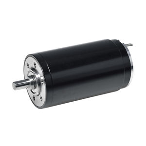Getriebemotor / 12 V 1