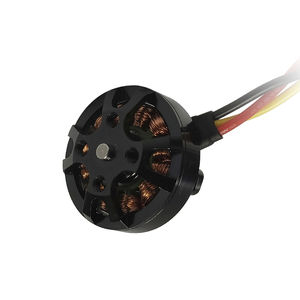 bürstenloser Motor 1