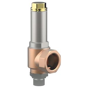 Sicherheitsventil für Gas / Kryogen