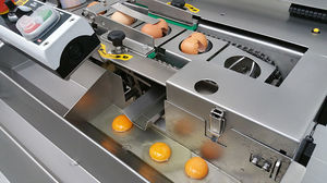 Eierbrechmaschine 1