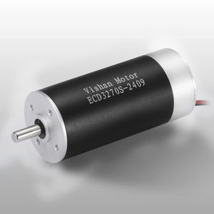bürstenloser Motor 1
