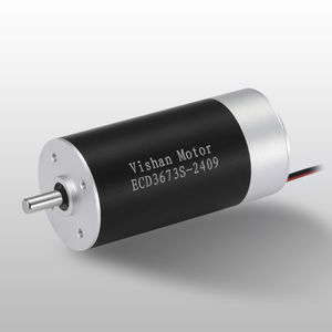 bürstenloser Motor 1