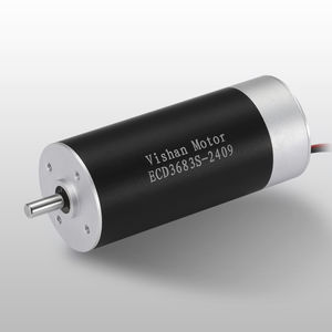 bürstenloser Motor 1