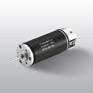 bürstenloser Motor 1