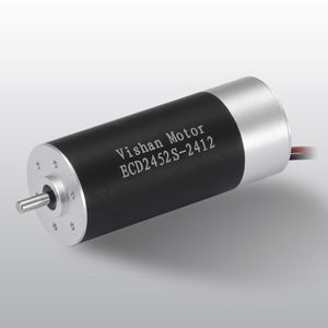 bürstenloser Motor 1