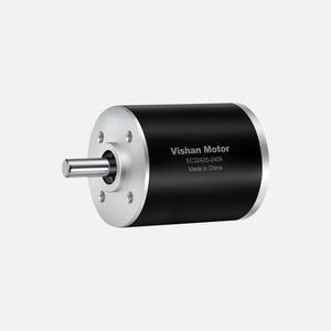 bürstenloser Motor 1