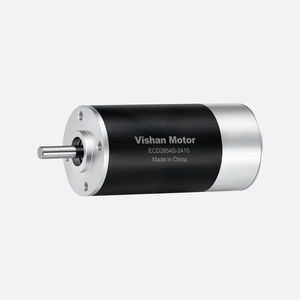 bürstenloser Motor 1