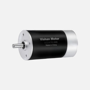 bürstenloser Motor 1