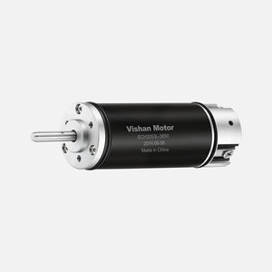bürstenloser Motor 1