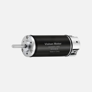 bürstenloser Motor 1