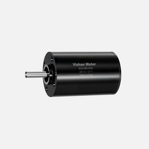 bürstenloser Motor 1