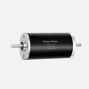 bürstenloser Motor 1