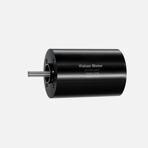 bürstenloser Motor 1