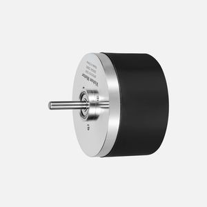 bürstenloser Motor 1
