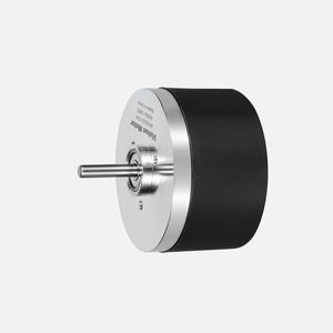 DC-Motor 1