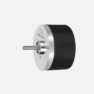 bürstenloser Motor 1