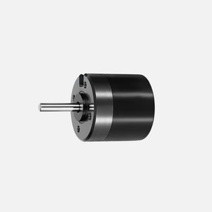 bürstenloser Motor 1