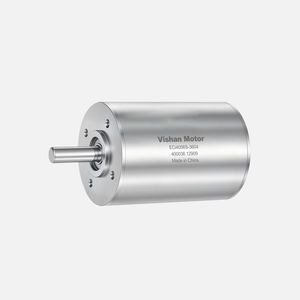bürstenloser Motor 1