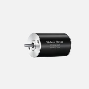 bürstenloser Motor