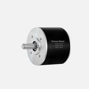 bürstenloser Motor