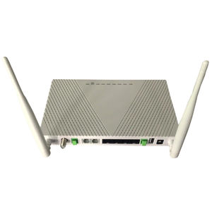 optische Netzeinheit 1