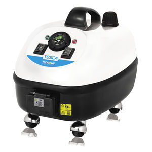 einphasiger Dampfreiniger 1