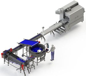Kartonierer mit Zählfunktion für Lebensmittel-Industrie / für Wurst 1