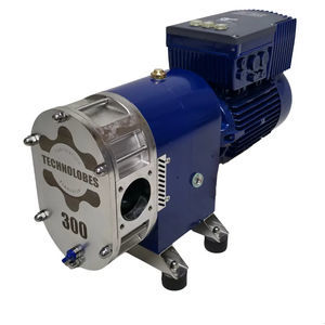 Drehkolbenpumpe 1
