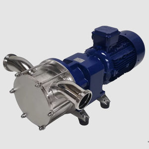 Impellerpumpe 1