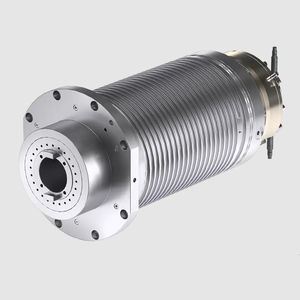 Schwerfräs-Motorspindel 1