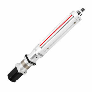 elektrischer Servozylinder 1
